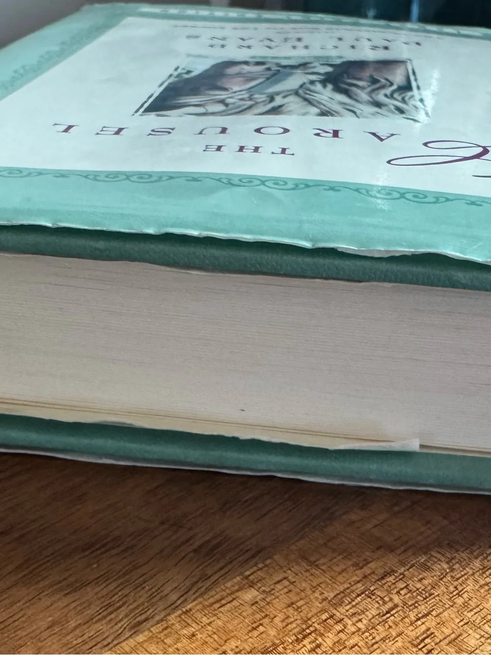 The Carousel by Paul Evans — Large Print Notebook in Mint Green
